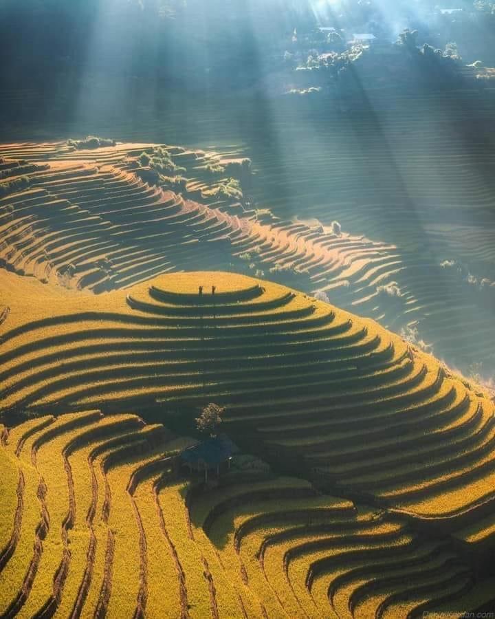 Homestay Hoa Thao - Bus ,Trek & Motorbike Mu Cang Chai Exterior photo
